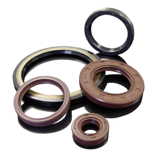 Radial Shaft Seals